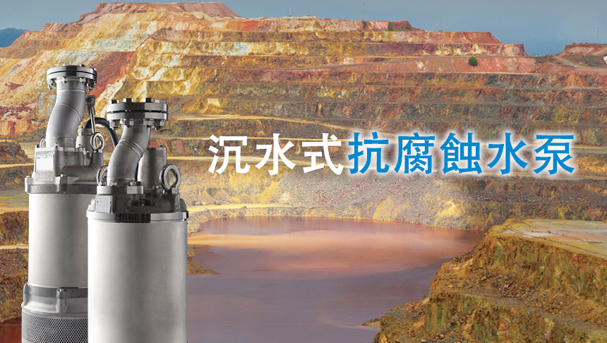 沉水式抗腐蝕水泵