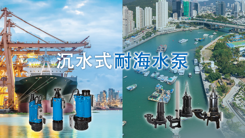 沉水式耐海水泵