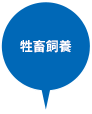 牲畜飼養