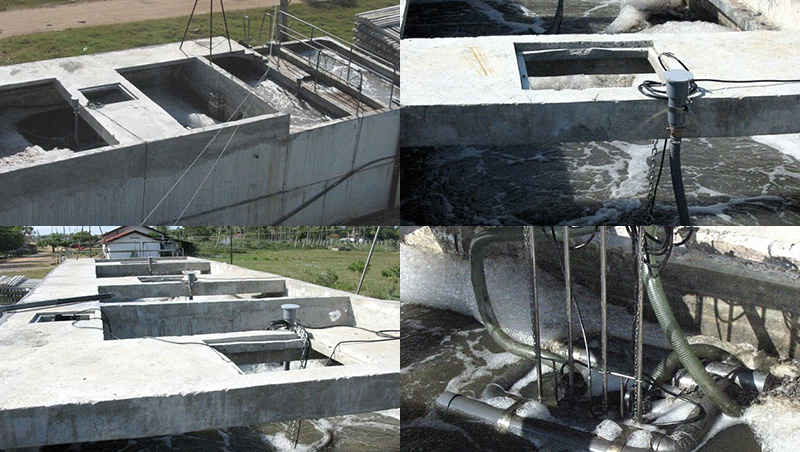 蝦處理廠